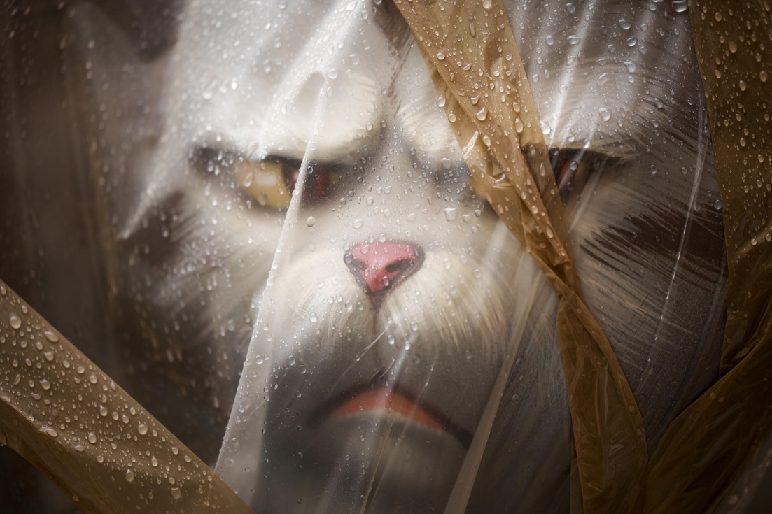 Detalle de un ninot protegido de la lluvia con pl&aacute;stico. EFE/Biel Ali&ntilde;o
