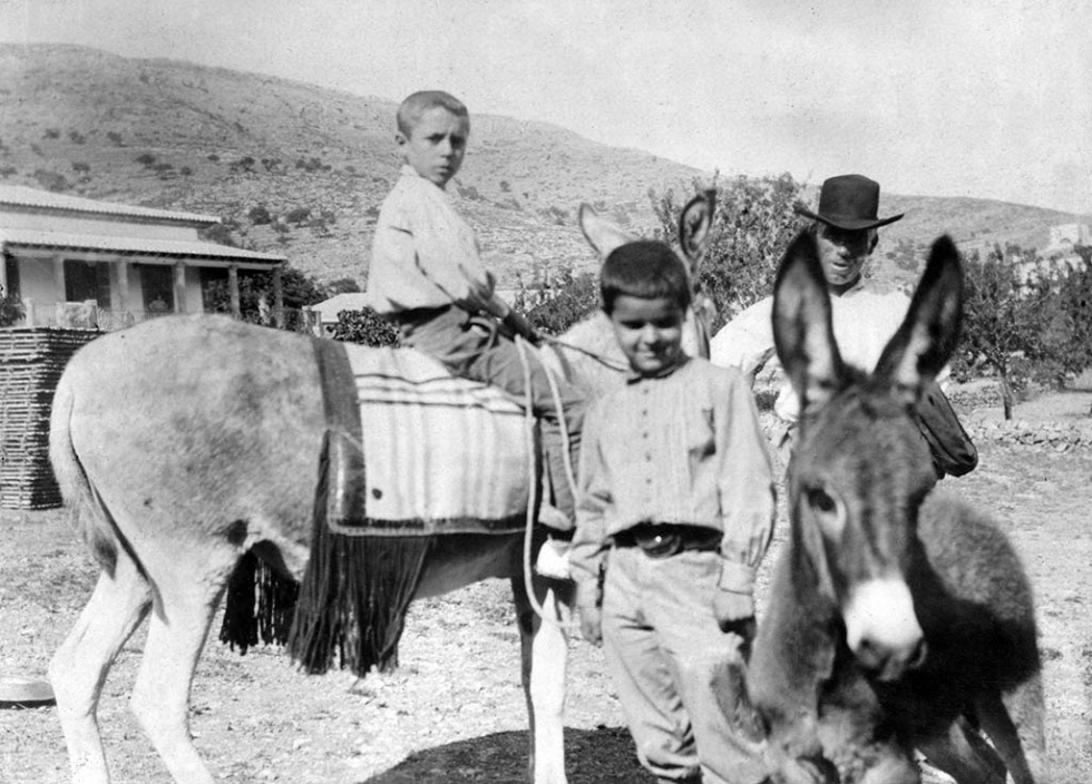 Fig. 1. Burros en las labores de la pasa en la Mezquida. Finales s.XIX o principios del s.XX. Fondo Chorro. Archivo Municipal de X&agrave;bia