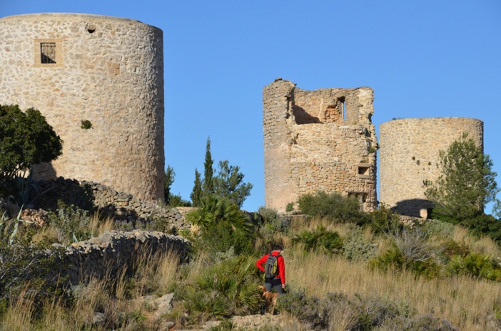 Molinos La Plana Xàbia