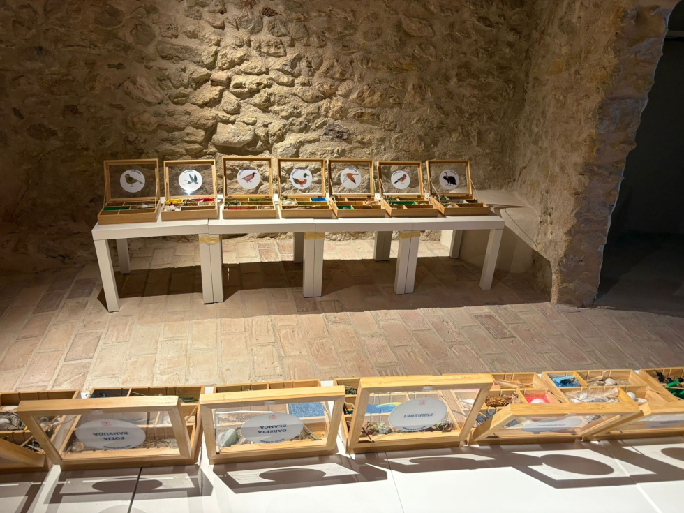La exposici&oacute;n itinerante &lsquo;Aus de la Marina Alta&rsquo; durante una de sus paradas por la comarca. Imagen: MACMA