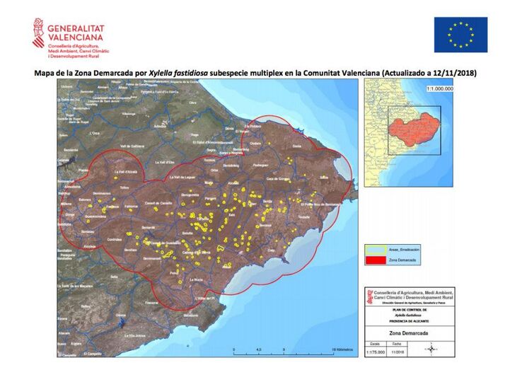 Benitatxell informará a los agricultores sobre las medidas contra la plaga de la Xylella Fastidiosa