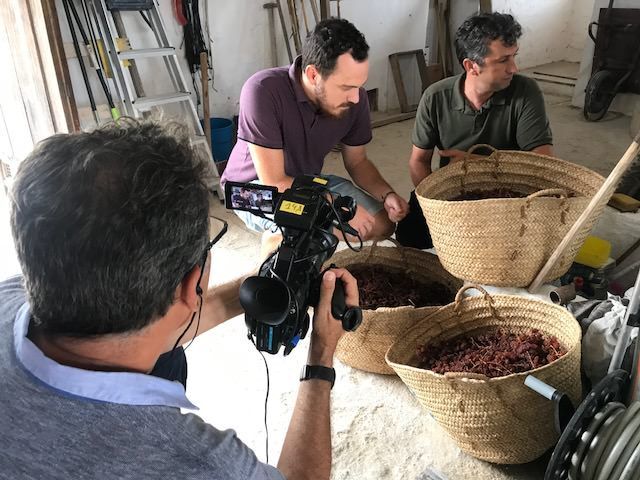Un equipo de A punt graba en Benitatxell l'escaldà de la pansa