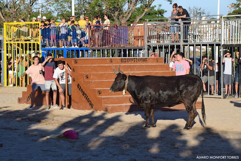 Programa Fogueres 2019. Martes 18 de junio