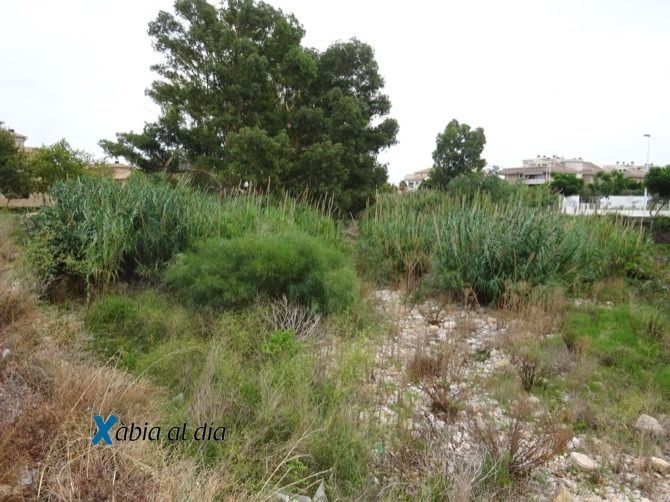 El cauce del río Gorgos, como siempre, ante la llegada de la temida gota fría