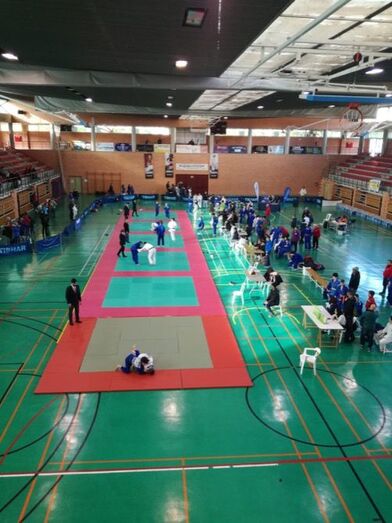 290 jóvenes judocas compiten en Xàbia