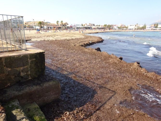 Fotonoticia: La playa del Arenal gana espacio al agua