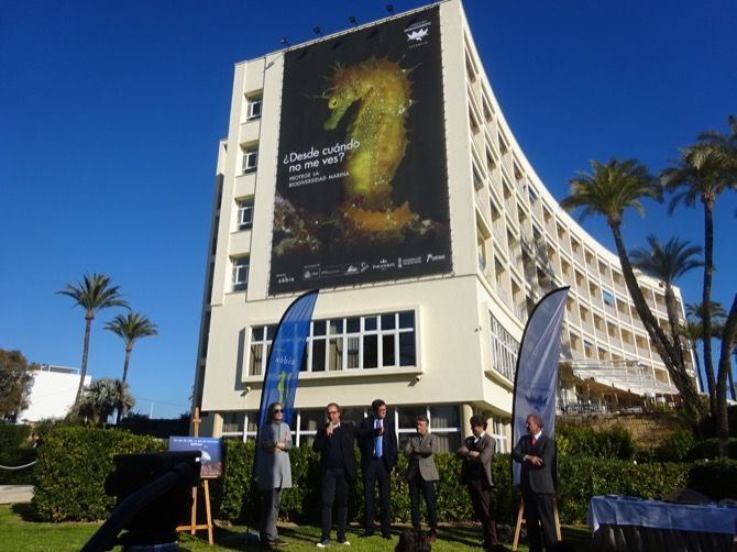 El proyecto Xàbia del Oceanogràfic despliega dos grandes murales para divulgar la importancia de la biodiversidad marina