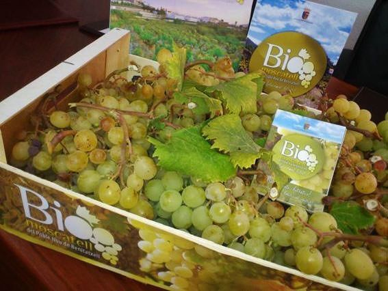 Benitatxell reivindica la figura de les estisoradores y la xafada de la uva en la primera Festa del Moscatell
