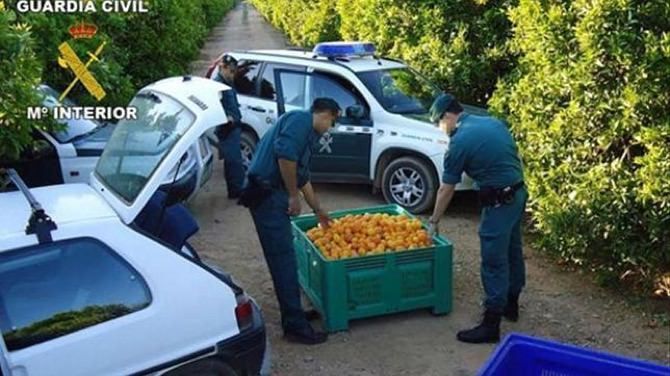 Guardia Civil y Policía Local se reúnen con los agricultores de Xàbia para hablar de la seguridad en el campo