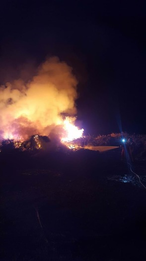 Bomberos y Protección Civil apagan un incendio en el Saladar