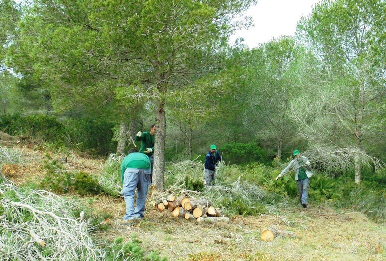 Xàbia abre el plazo de solicitudes para 50 puestos de conserjería, mantenimiento y limpieza viaria y forestal
