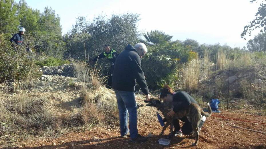 La Policía Local de Xàbia y los Bomberos del parque comarcal rescatan a un perro en una sima de La Plana