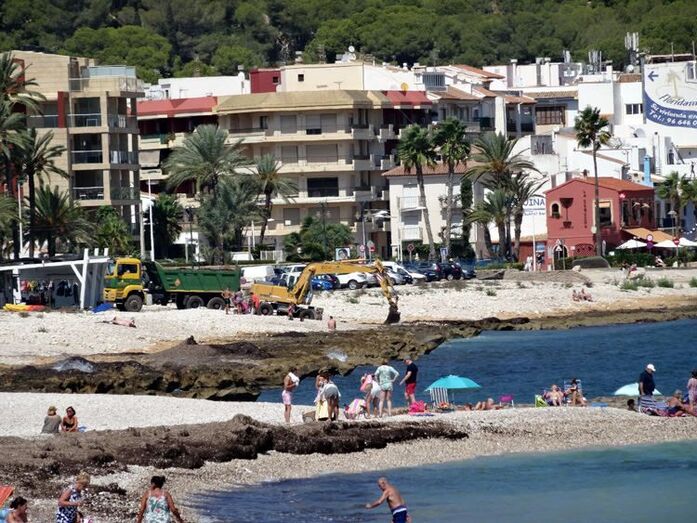 Ecologistas en acción: la posidonea oceánica de las playas no es basura