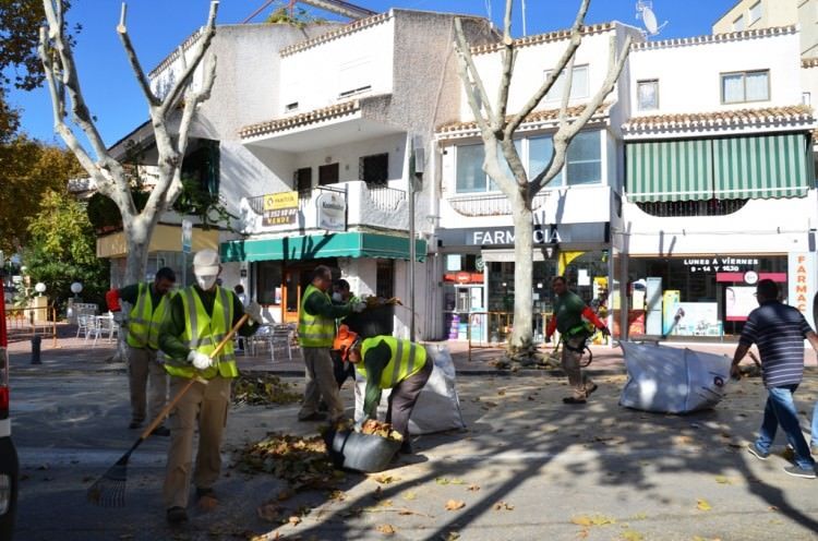 Servicios licita el contrato de poda en altura