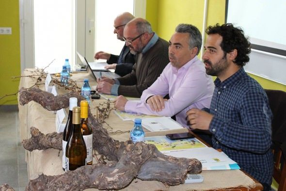Un respiro crepuscular entre moscatel, una combinación única de viñedos y tapas autóctonas en Benitatxell