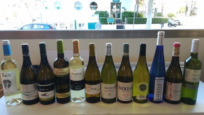 Curso de iniciación al vino en Casa del Vino