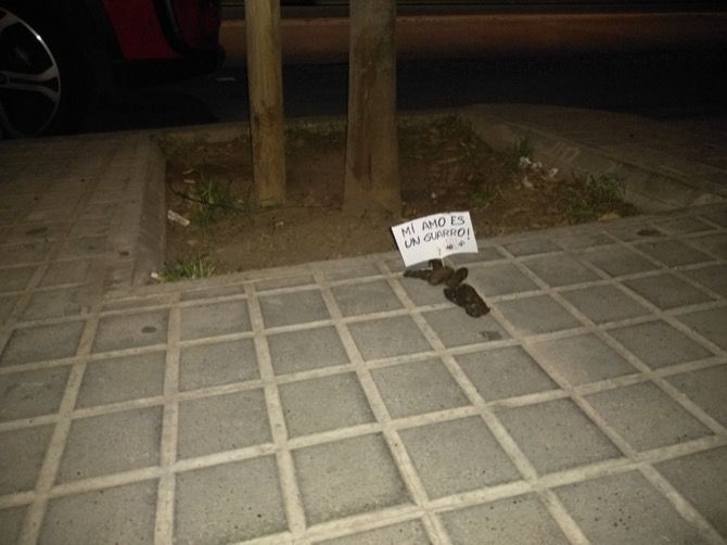 Última campaña del Ayuntamiento para concienciar a los propietarios de mascotas incívicos