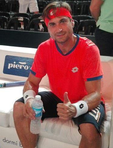 David Ferrer recibe la alta distinción de la Generalitat