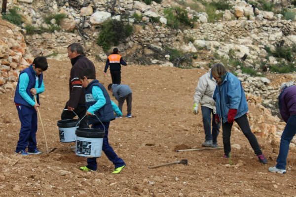 Benitatxell reparte entre los escolares 290 plantones en el día del árbol