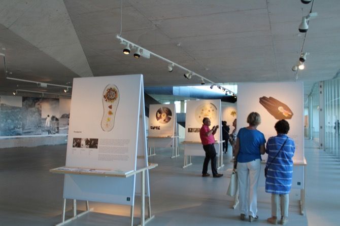 “El Gust X saber”, una muestra participativa de talleres artesanales en el Auditori Teulada Moraira