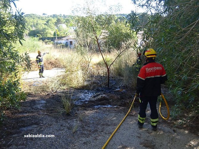 Susto en una parcela abandonada del Portitxol