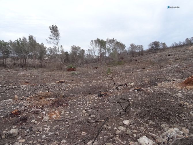 La Granadella vivirá una jornada de reforestación de la mano de Cruz Roja Xàbia