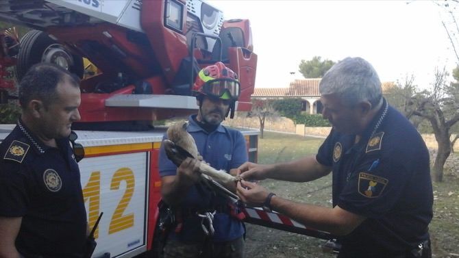 La Policía Local recibe un reconocimiento por su labor en defensa de los animales