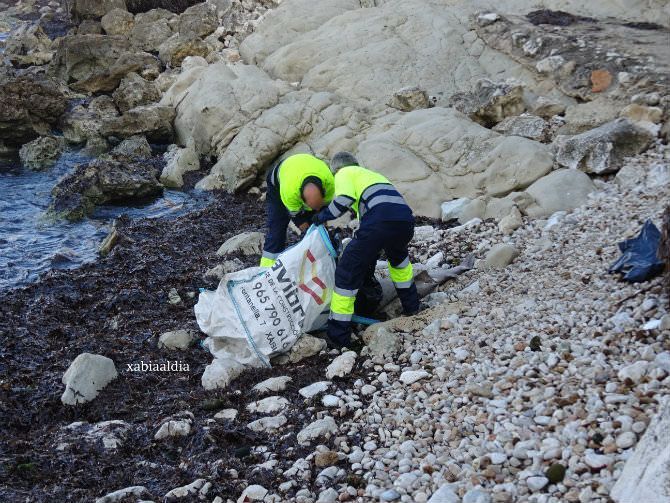 Retiran de Cala Blanca el cadáver de un tiburón pequeño