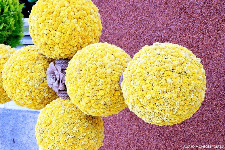 Programa de fiestas Jesús Nazareno: Día 1 de mayo, día del niño