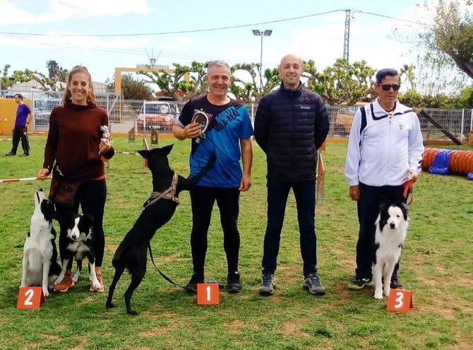 Eulalia Tamayo inicia el camino para participar en el campeonato de España de agility para perros