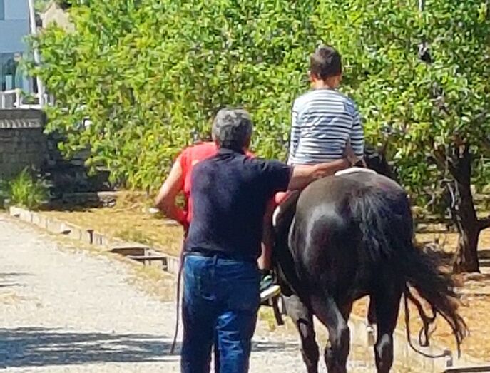 Alumnos y alumnas del colegio Arenal visitan el centro de caballos José Argudo