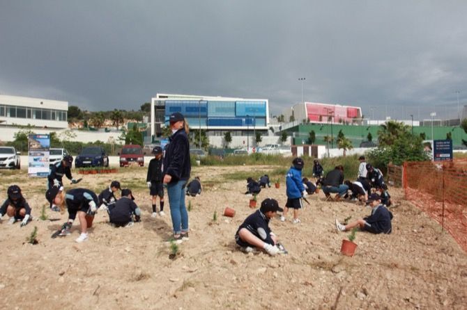 Fotonoticia: Los escolares del Lady Elizabeth School celebran el día del árbol