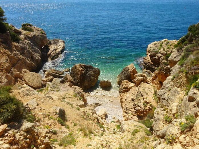 Sorolla en la cala Tangó de Xàbia