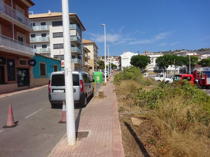 Servicios corta los árboles de la calle Azorín del Freginal tras pedirlo los vecinos