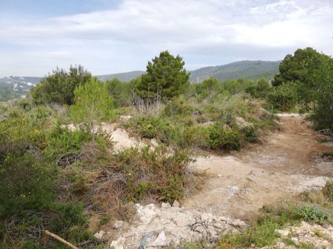 La Diputación destina 300.000 euros a la restauración de zonas degradadas por vertidos