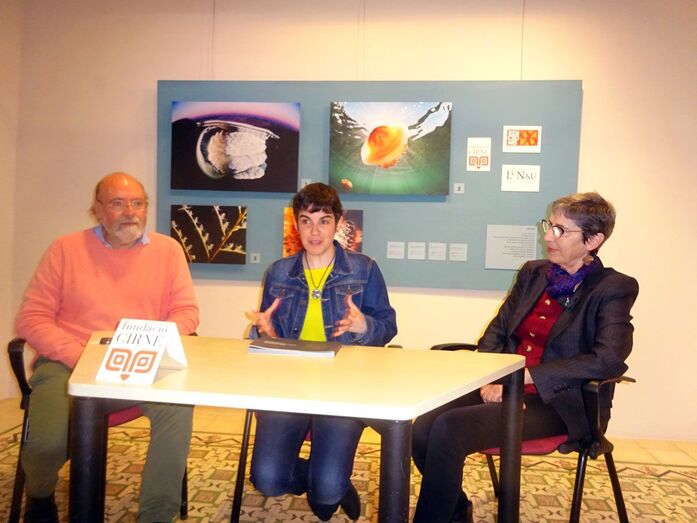 La Fundació Cirne muestra la fauna del Mediterráneo
