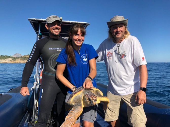 Fotonoticia: Devuelven al mar la tortuga recuperada en verano por los monitores de Revolution Dive