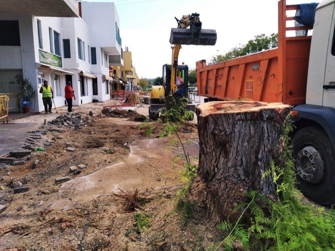 Arrancan los árboles del tramo en obras de la avenida del Pla