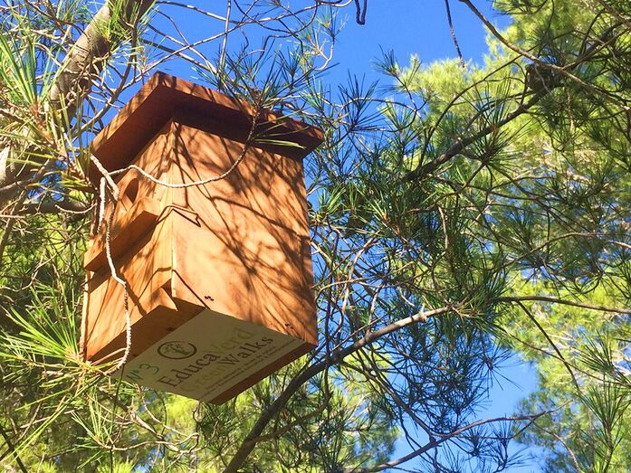 El Montgó anima a preservar las cajas nido de las aves del parque con una propuesta para toda la familia