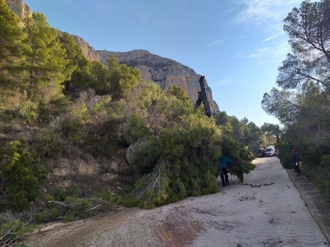 Servicios crea un cortafuegos de 25 metros de ancho entre las urbanizaciones y la parte inferior de la falda del Montgó
