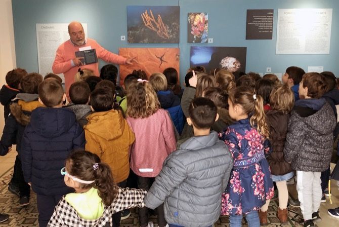 Un millar de alumnos visitan la exposición sobre los vecinos submarinos de la Fundació Cirne