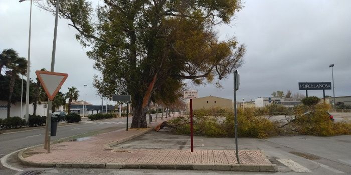 El ayuntamiento suspende las clases este lunes