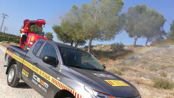 Benitatxell trata de atajar la plaga de procesionaria en sus bosques