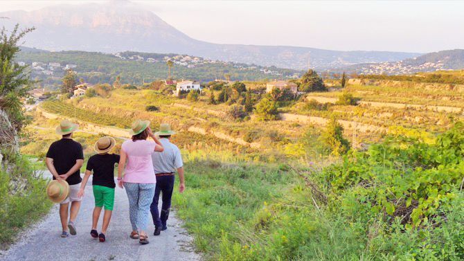 Benitatxell apuesta por relanzar la agricultura local con un banco de tierras