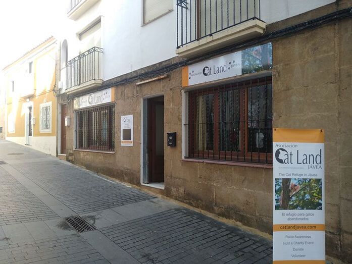 La asociación Catland abre una tienda de segunda mano para financiar un refugio para gatos