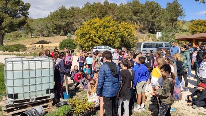 Los escolares de Benitatxell celebran el Día del Árbol