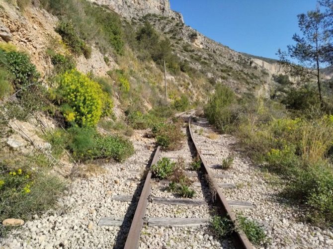 Adjudicadas, por fin, las obras del último tramo pendiente de renovar de la linea 9 del Tram: Teulada-Gata