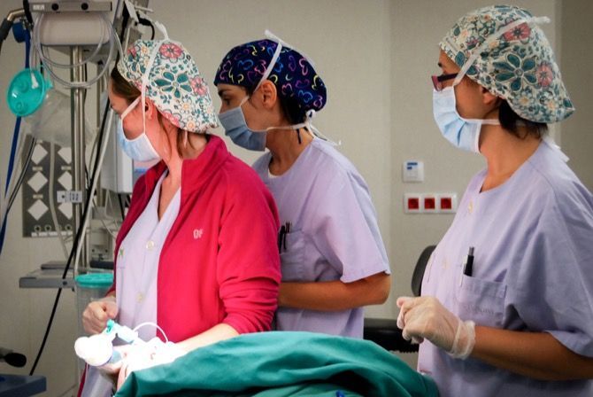 Los sanitarios de la primera línea del Coronavirus reciben el premio Princesa de Asturias de la Concordia