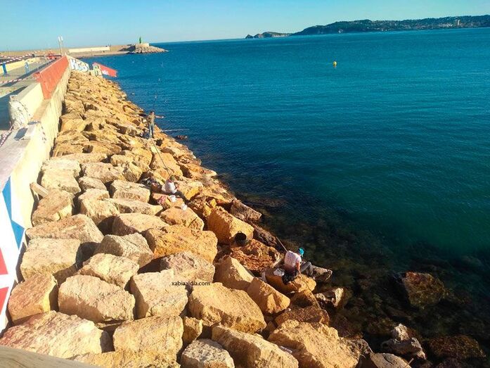 Luz verde a la pesca deportiva y recreativa en la Comunitat Valenciana