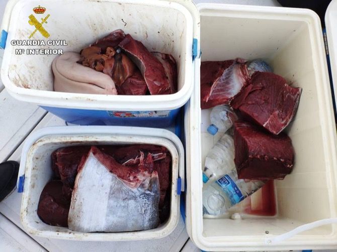 La Guardia Civil impone dos sanciones en Xàbia y Dénia por pesca de atún rojo